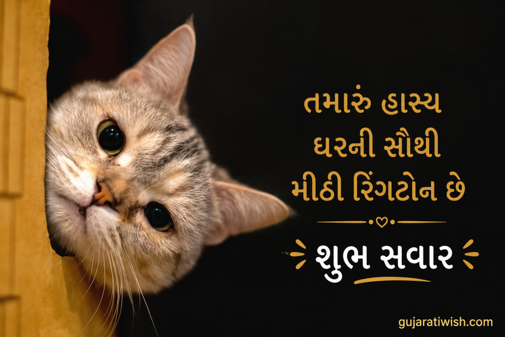 Funny morning wishes for wife