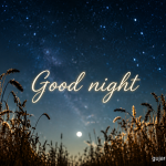 Good night wishes in gujarati